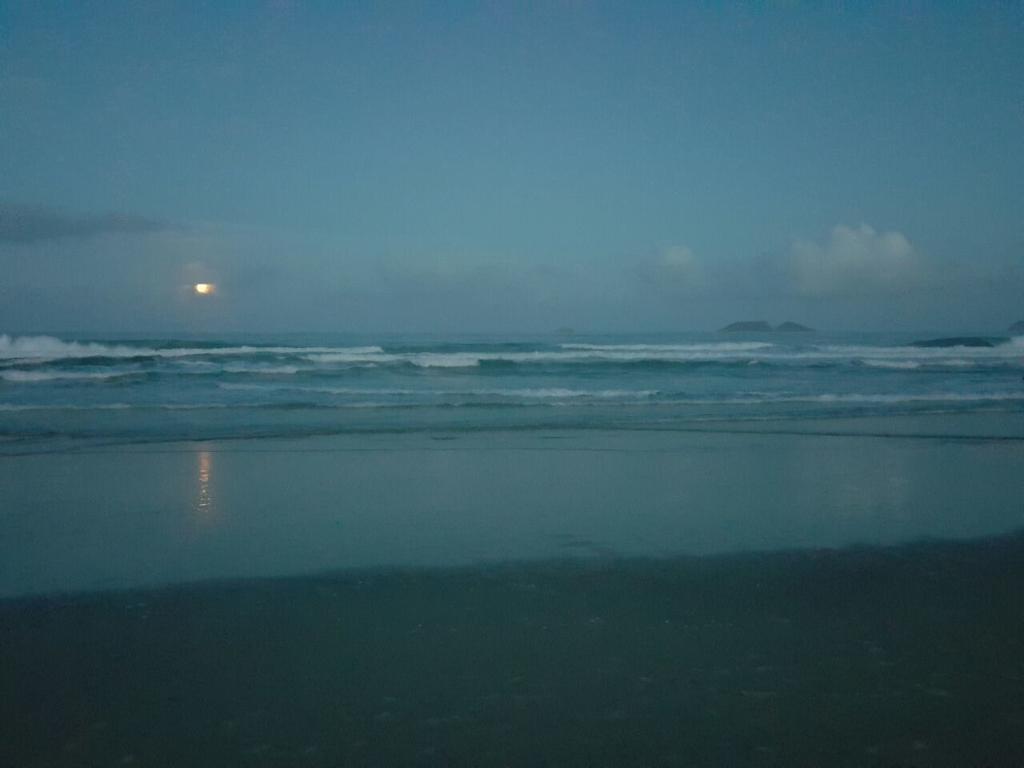 Ingleses A 50 Metros Da Praia 5 Pessoas 101 Florianópolis Exteriör bild